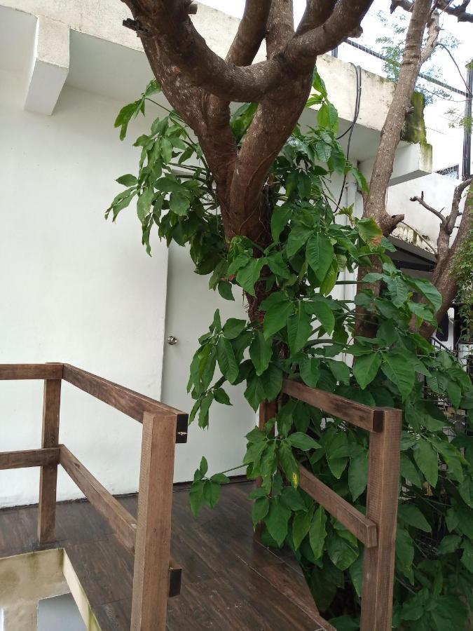 Estudio Zona Centro Cerca De La Terminal Ado Cancun Dış mekan fotoğraf