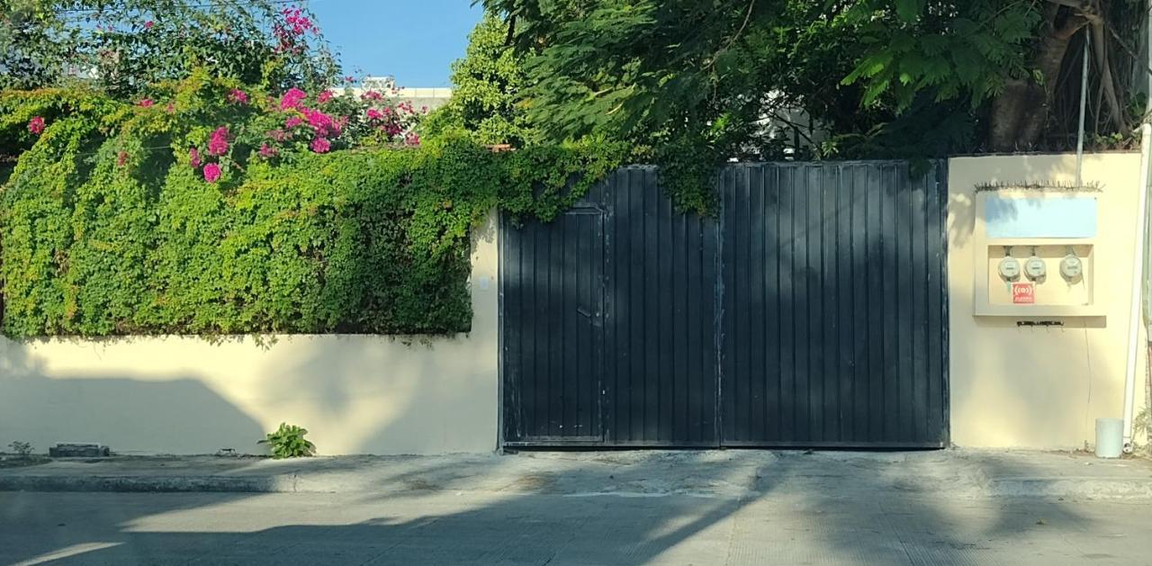 Estudio Zona Centro Cerca De La Terminal Ado Cancun Dış mekan fotoğraf
