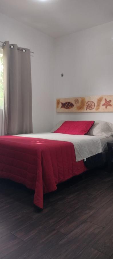 Estudio Zona Centro Cerca De La Terminal Ado Cancun Dış mekan fotoğraf