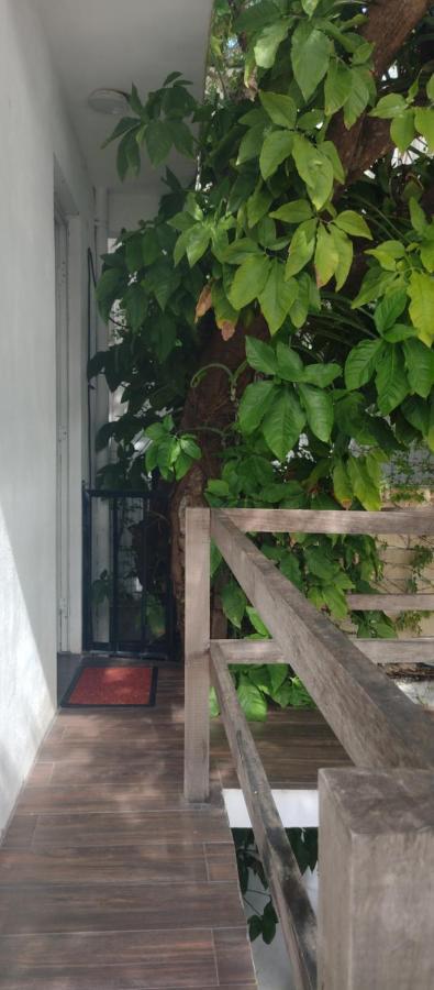 Estudio Zona Centro Cerca De La Terminal Ado Cancun Dış mekan fotoğraf