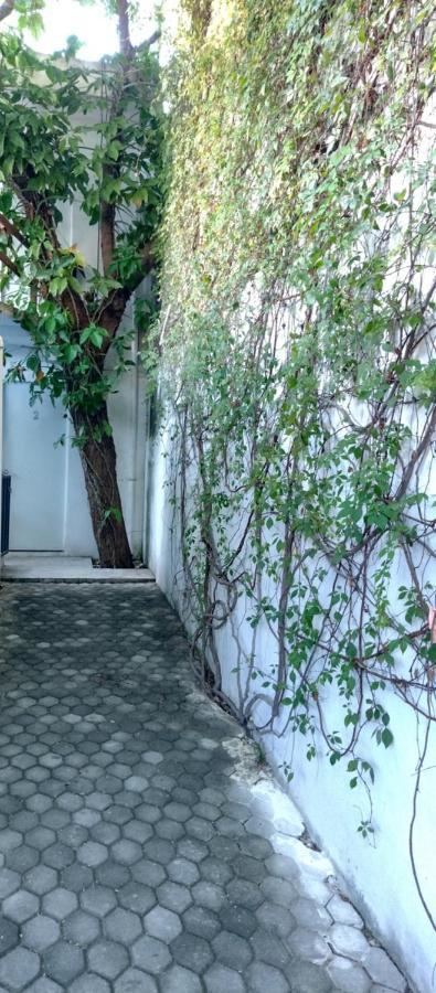 Estudio Zona Centro Cerca De La Terminal Ado Cancun Dış mekan fotoğraf